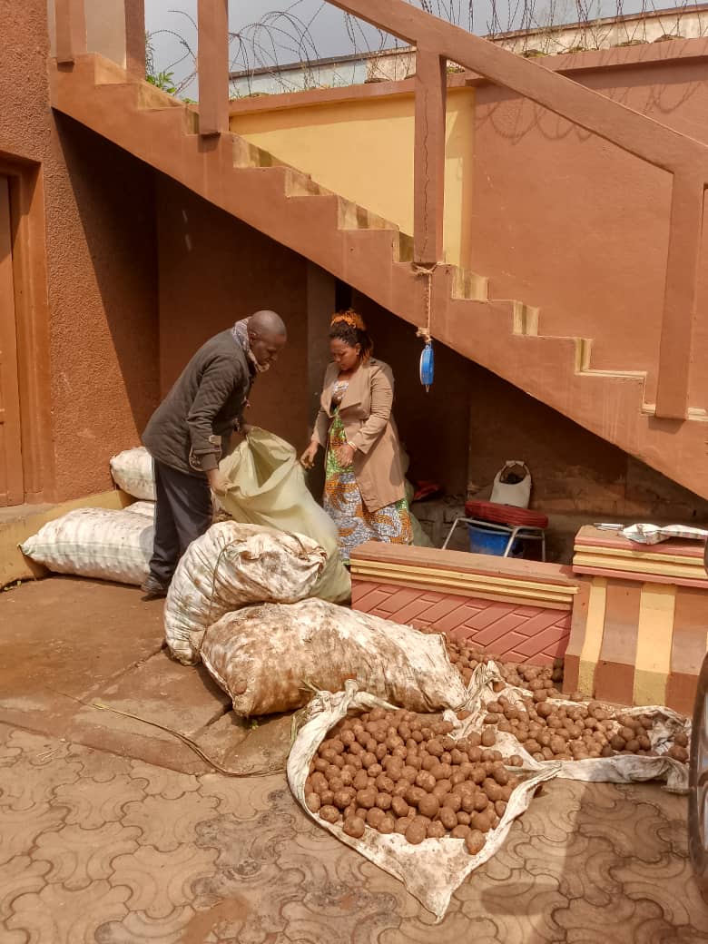 Vente des pommes de terre produits à la COODEFI