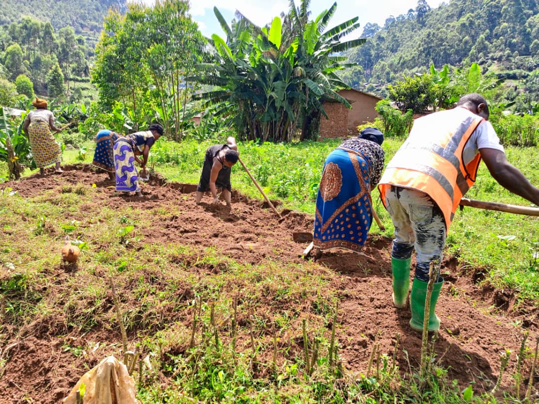 Préparation de la parcelle , pour la plantation des pepinières de GPA Lubero